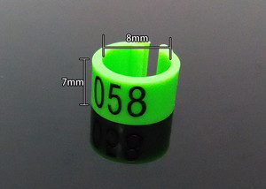 Postduif Voetring, Vlees Duif <span class=keywords><strong>Plastic</strong></span> Markering <span class=keywords><strong>Ring</strong></span>, Grote Diameter Digitale Identificatiering - Product Image 6