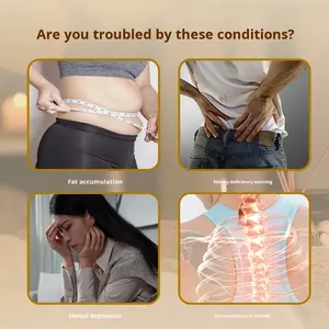 漢方薬マッサージ健康エッセンシャルオイル治療胃ケア子午線浚渫痩身クラスI河南省 - Product Image 4