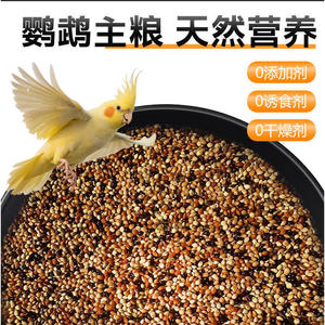 Millet cinq couleurs 750g pour perruches, calopsittes, canaris, oiseaux jade avec coquilles - Product Image 2
