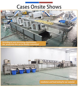 Ligne de nettoyage et de séchage de fruits sur mesure pour usine : oranges, fruits du dragon, ananas, pruneaux, agrumes - Product Image 4