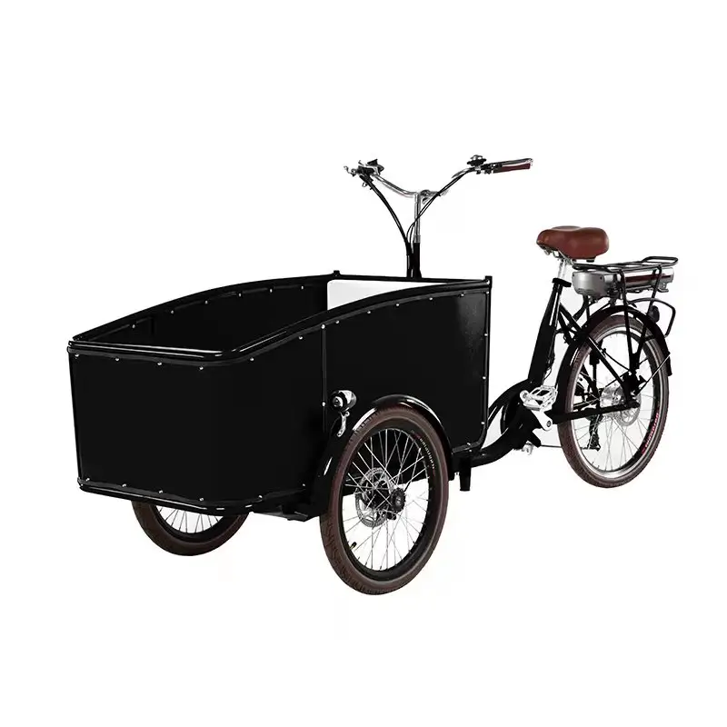 front loading baby tricycle 250w motor electric cargo bike with rain cover on hot sale