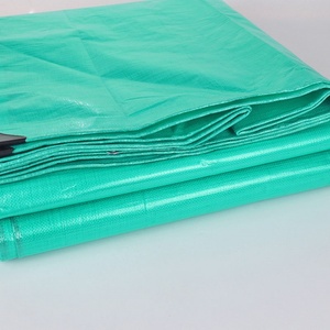 Prix compétitif, bâche en HDPE PE écologique, 100% plastique pour serre, imperméable, traitée anti-UV, anti-vieillissement - Product Image 2