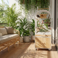 Grande volière en bois de qualité supérieure pour perroquets, cage d'intérieur pour oiseaux avec plateau coulissant et roulettes, décoration d'intérieur