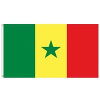 Drapeau du Sénégal 3x5 pieds personnalisé avec logo imprimé, fanion en polyester simple face pour automobiles, bannières nationales et drapeaux de présentation