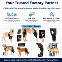 Attelle de genou ACL réglable pour chien avec stabilisateurs latéraux métalliques, support pour pattes arrière, protection et soin des articulations canines