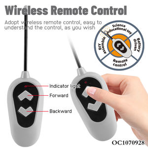 Nuove idee di prodotto 2025 le tendenze 2 in1 bambini in plastica elettronica realistica macchina di controllo remoto Stunt Dog Robot gatto giocattoli intelligenti - Product Image 3