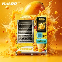 Haloo Frozen Fruit Smoothie IJsautomaten SDK QR-code Munt Betaalsysteem RVS Touchscreen POS Integratie OEM/ODM