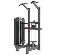 Equipo de gimnasio de fuerza Equipo de fitness Máquina de ejercicios de asistencia para tirar a la venta