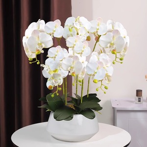 Orchidea artificiale in <span class=keywords><strong>vaso</strong></span> Orchidea finta pianta in <span class=keywords><strong>vaso</strong></span> Orchidea artificiale in <span class=keywords><strong>vaso</strong></span> all'ingrosso EG-X008 <span class=keywords><strong>fiori</strong></span> di orchidea artificiale con <span class=keywords><strong>vaso</strong></span> - Product Image 1