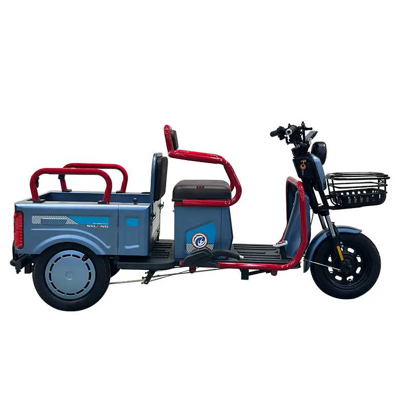 Fabrikwerkstatt Cargo Electrique Adulte Ev Mini-Dieselfahrrad Tansania Motor-Dreirad elektrisches Dreirad