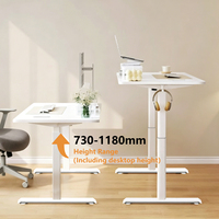 Station de travail professionnelle tout-en-un - Bureau debout à moteur unique avec tiroir de rangement et kit d'accessoires complet