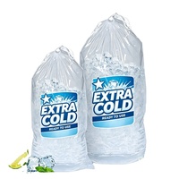 Sacs à glaçons en plastique recyclables, sacs alimentaires transparents en PE avec cordon de serrage, logo personnalisé, marquage à chaud
