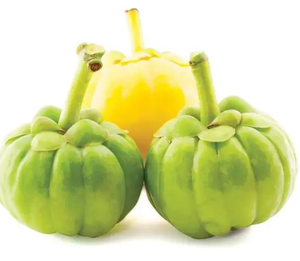 كوشير أعلى جودة غاركينيا مستخلص مسحوق cambogia HCA Hydroxycitric حمض كبسولات - Product Image 2