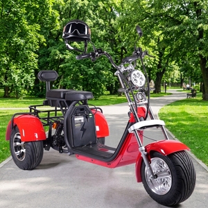 Triciclo Scooter de 3 Ruedas, 60v 2000w/3000w, Batería de Litio sin Escobillas, Marco de Aluminio, Motor Integrado Y20 de Alta Potencia 2000w - Product Image 1