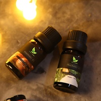 Coffret Cadeau d'Huiles Essentielles de Noël pour la Maison, pour Diffuseur, 6x10mL, Vente en Gros Usine, Huiles Parfumées de Qualité Supérieure