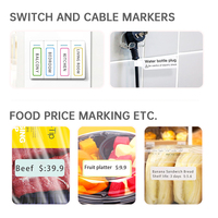 Imprimante d'étiquettes portable Marklife P12, imprimante d'étiquettes sans fil, logo personnalisé, prix d'usine, machine à matrice de points