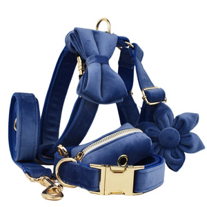 Populaire Nouveau Design Personnalisé Chien Collier Pour Animaux De Compagnie Laisse Harnais Kit Ensemble De Luxe Velours Rubans Doux Rembourré Personnalisé Nylon Gratuit - Product Image 1