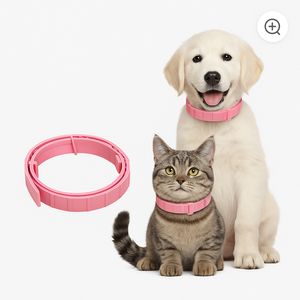 Chanson <span class=keywords><strong>Collare</strong></span> Antiparassitario Naturale in Gomma per Gatti, Impermeabile, Regolabile, Protezione di 8 Mesi, Logo Personalizzabile - Product Image 2