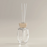 Bouteilles de diffuseur de parfum personnalisées en usine, 50 ml, 300 ml, vides, écologiques, durables, avec bouchon en bois, couleur et logo personnalisés