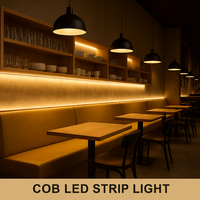 Bande LED COB RVB RVBW RGBCW adressable Dream Color DC5V 12V 24V, éclairage flexible sans soudure pour installation architecturale
