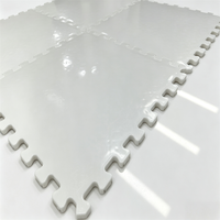 ZSPE Super Smooth Portable Ice Hockey Training Board Shooting Pads Synthetic Ice Floor Tiles for Commercial and Home Use