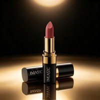 IMAGIC Vente en gros Nouveau Rouge à lèvres mat Imperméable Longue tenue Couleur naturelle Finition lisse pour le maquillage quotidien des lèvres