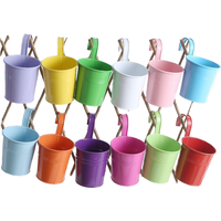 Pot de fleurs suspendu en fer forgé au design moderne, écologique, galvanisé, pour plantes vertes succulentes, avec crochet détachable