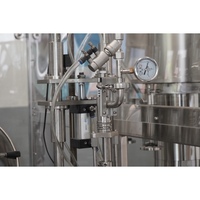 Machine de mise en bouteille de vin monobloc à vide rotatif 800-1200BPH pour vin rouge, vin blanc, vin de fruits