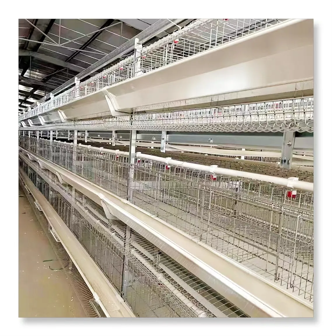 2024 vendita calda di fabbrica uscita rete metallica animale gabbie di pollo per 3000 uccelli strato di gabbie animali