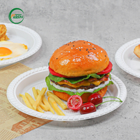 Assiettes jetables en plastique pour salade, 9 pouces, empilables et peu encombrantes pour le rangement en cuisine, les fêtes et la restauration