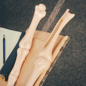 Penna a Sfera in Plastica con Design Intricato a Forma di Osso - Penna Promozionale Personalizzata Unica con Inchiostro Blu/Nero e Stampa UV/Digitale - Product Image 2