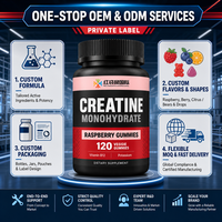 Gummies de Créatine Monohydrate Saveur Framboise OEM Personnalisé Marque Privée Supplément Qualité 100000 Atelier Propre 120 Comprimés Végétariens