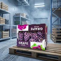 Caisse d'emballage en PP premium pour melons cantaloupes 4mm 600x400x300mm, service de découpe disponible pour la vente en gros, OEM ODM disponible