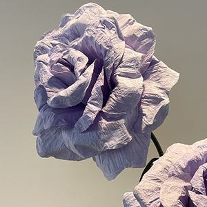 Ingrosso fiori di carta gigante con decorazione di fiori rossi rosa nera gigante artificiali impermeabili con Rose floreali - Product Image 2