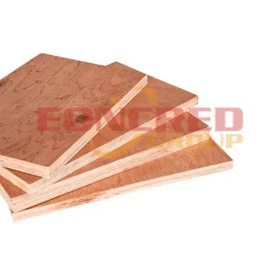 Phenolic Plywood Sheet 4X8 18MM Film Faced Construction Plywoods