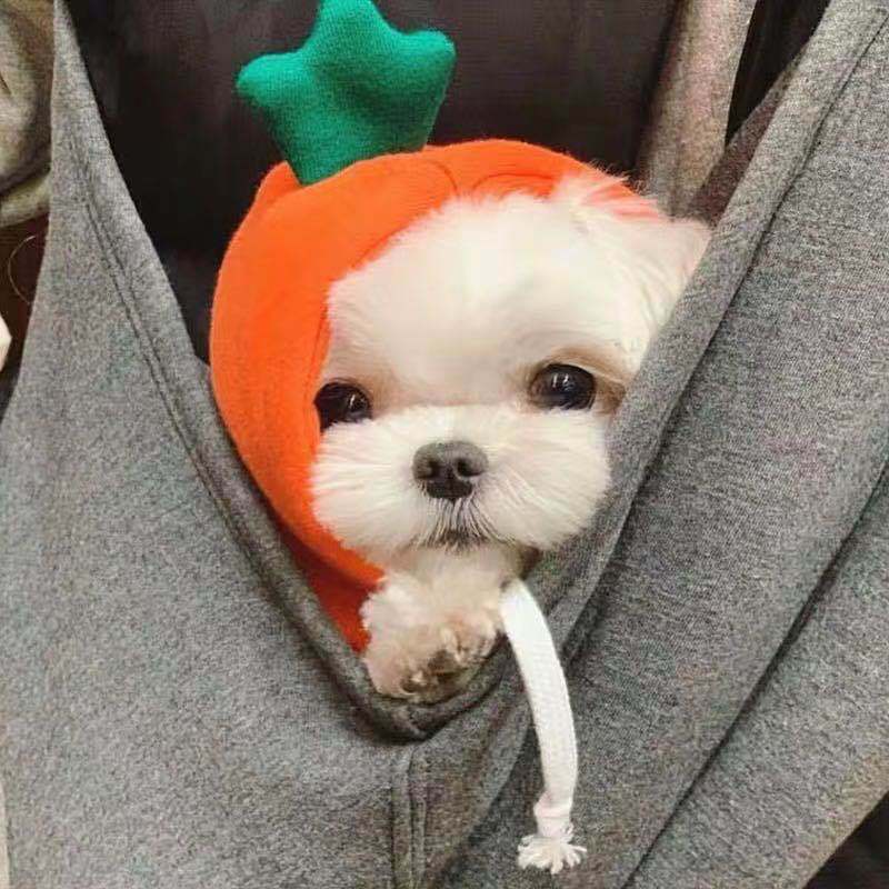 Sweat jambe à capuche orange carotte