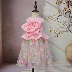Gaun Bunga Mewah Khusus Warna Pink untuk Ulang Tahun Pertama, Gaun Pesta Tulle Putri dengan Bunga 3D untuk Pemotretan Bayi dan Pertunjukan - Product Image 1