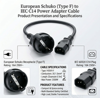 Câble d'alimentation IEC C14 vers prise femelle EU 10A 250V, adaptateur Schuko Type F vers C14 pour PDU UPS, rallonge