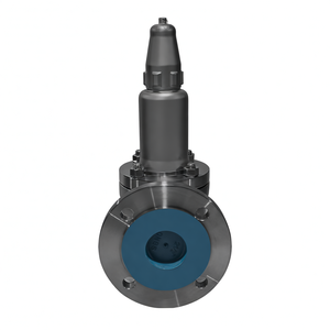 Vanne de sécurité à ressort en acier inoxydable 304 PN20, vente de liquidation B2B COVNA - Product Image 3
