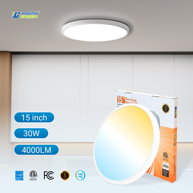 CA/US Ultra Thin AC120V 15in 30W LED Surface Mount Panel Light 5 Color Temperature Dimmable Ceiling Light with 5years Warranty