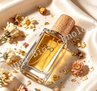 Parfum pour homme de haute qualité aux notes boisées, léger et frais, EDP, écologique, longue tenue, flacon en verre, Cologne pour homme, vente en gros OEM