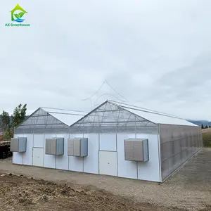 Commercial Automated Light Deprivation Blackout 200 Micron Covering Plastic Film Greenhouse For Hemp Cultivation