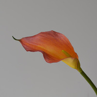 Bunga Calla Lily Buatan Tangan Berkualitas Tinggi BF-CL06 Bloom Floral, Sentuhan Asli EVA, Warna Putih Kuning, untuk Rumah, Hari Ibu