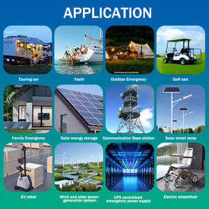 Langlebiger Typ 30Ah 60Ah 100Ah 300Ah 105Ah Solarenergie system 12,8 V 25,6 V Lifepo4-Akku für Elektro werkzeuge - Product Image 5