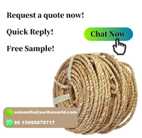 Corde en jonc de mer naturel en brin unique pour tressage de paniers, écologique et durable pour l'artisanat fait main, vente en gros