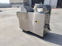Volautomatische Commerciële Groentesnijder/Multifunctionele Shredder