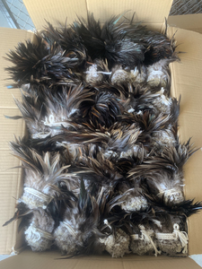 Plume de <span class=keywords><strong>faisan</strong></span> verte teinte écologiquement pour artisanat, montage de mouches de pêche, coiffure, accessoires capillaires de carnaval, boucles d'oreilles, décoration de fête et de maison - Product Image 3