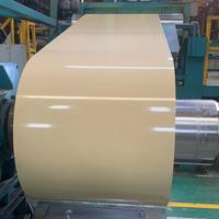 Tôle de Toiture Métallique Prélaquée Double Couche en Rouleau, Acier Galvanisé Peint 0,6 mm PPGI PPGL, Bobine d'Acier Stratifié PVC