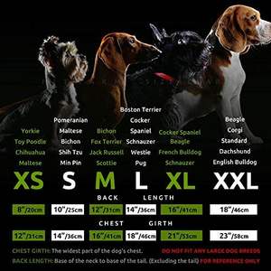 Fitwarm Thermischer Gestrickter Hundepullover für Mittelgroße Hunde, Katzen-Sweatanzug, Wintermantel, Haustierkleidung, Rollkragen-Welpenjacke, Salbeigrün, Baumwolle für Hündchen - Product Image 6