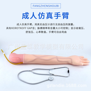 Modèle d'entraînement à la mesure de la tension artérielle au bras, modèle pédagogique pour les infirmières, modèle de mesure de la tension artérielle - Product Image 4
